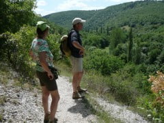 Zes dagen Mindful Wandelen