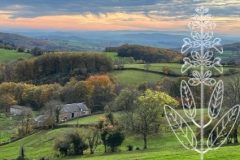 Kruidenatelier de Herboriste, tussen hemel & aarde in regionaal natuurpark De Morvan