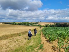 Wandelweek in de Noord-Franse Thiérache, 12 – 18 juli 2026