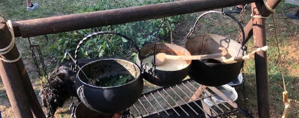 Koken met zintuigen en de elementen