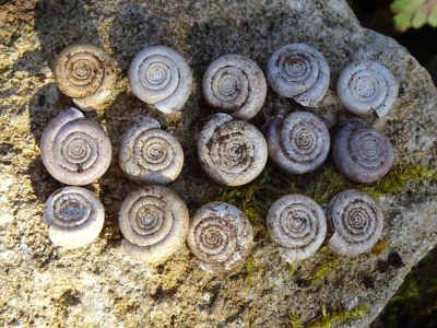 Land art vierdaagse in de Haute Saône