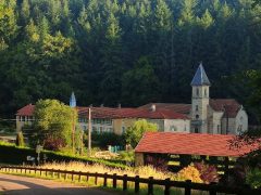 Schilderweekend voor beginners