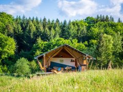 Met Tofdesign schilderen (gemengde technieken) op de sfeervolle glamping Auvergne van 17 mei t/m 23 mei 2026