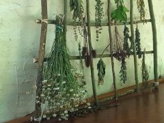 Ayurveda en werken met kruiden op Centre Lothlorien 6-12 juli