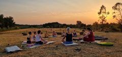 Digital Detox Retraite in augustus in Frankrijk – 5 dagen offline in de natuur 