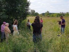 Voedselboscursus, Zelfvoorzienend Leven, Wildplukken en Inmaken in de Dordogne