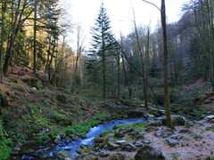 wandelingen in de Wolvenvallei