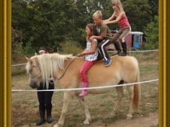 Paardrijden/Natural Horsemanship/ buiten- bos  ritten/ wandeltochten met paard